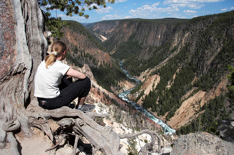 IMG_8241_Yellowstone Canyon_800.jpg - Yellowstone Canyon